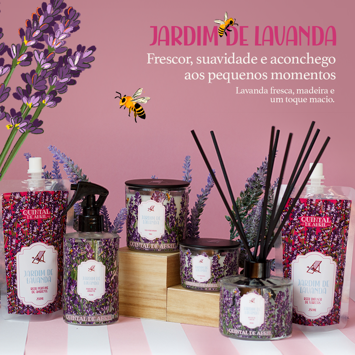 header lavanda mb