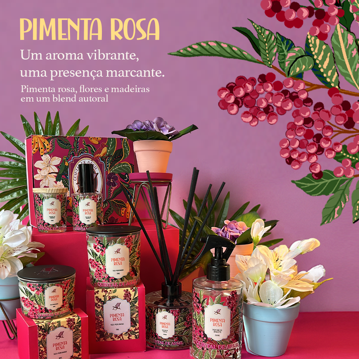 header pimenta mb